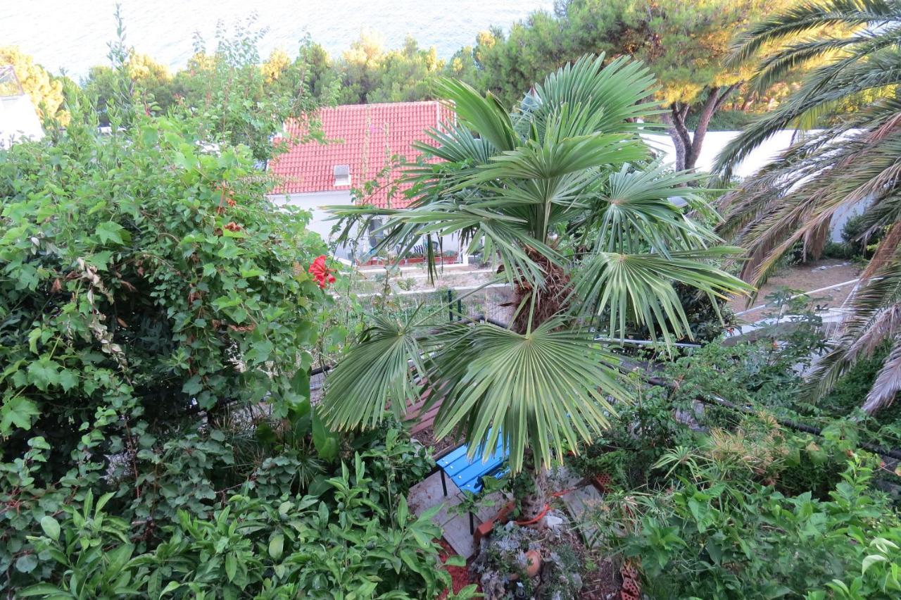 Apartments Feral 2 Baška Voda Zewnętrze zdjęcie